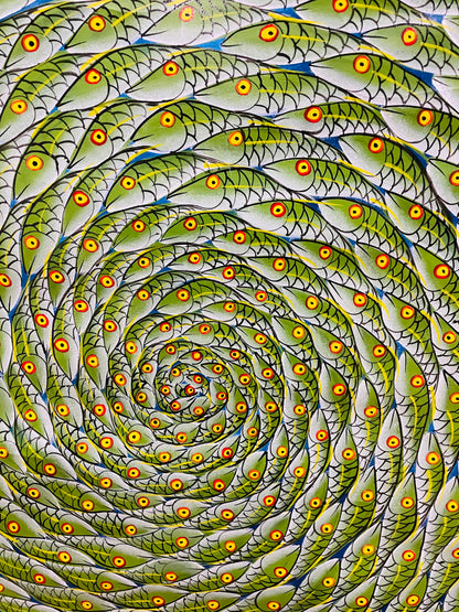 Fish in circles