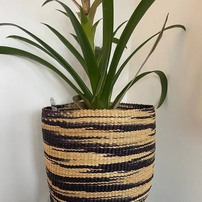 Planter - add some variety to your space